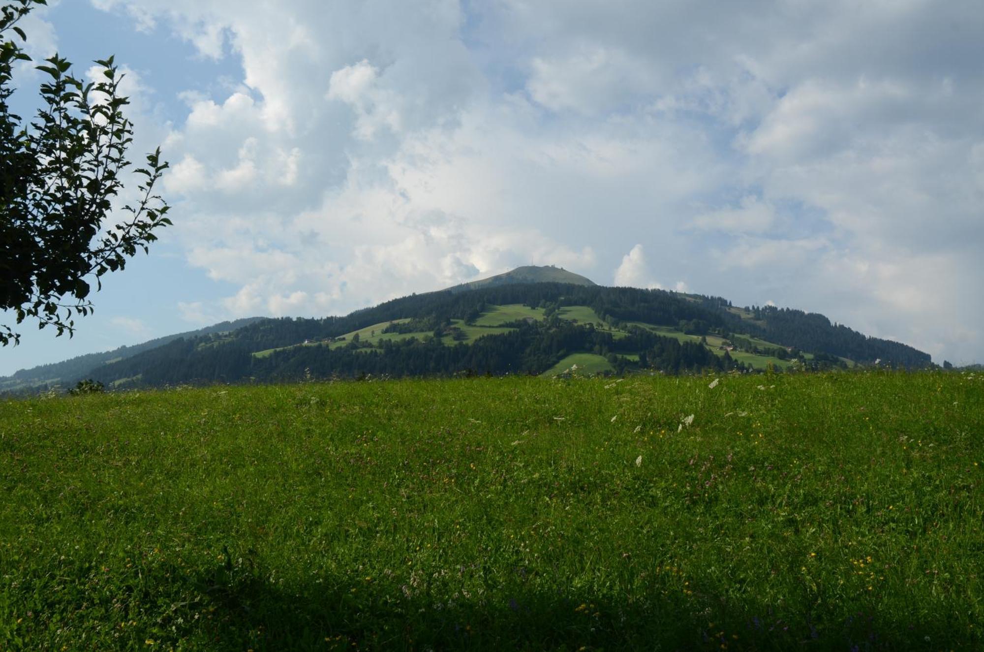 Landhaus Lindner Вестендорф Экстерьер фото